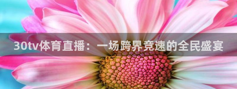 30tv体育直播：一场跨界竞速的全民盛宴